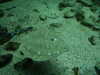 20070722100530-PICT6088.JPG