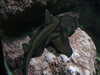 20070722105814-DSCF1091.JPG