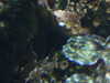 20070722112229-DSCF1125.JPG