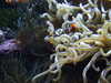 20070722112359-DSCF1127.JPG