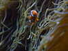 20070722112407-DSCF1128.JPG