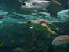 20070722112535-DSCF1133.JPG