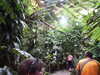20070722113213-PICT6148.JPG