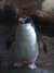 20070722120034-DSCF1147.JPG