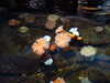 20070722121009-DSCF1157.JPG