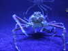 20070722121040-DSCF1159.JPG