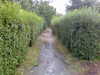Image026.jpg