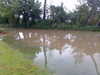 Image033.jpg
