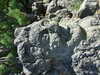 20070724154156-DSCF4.JPG