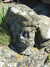 20070724154223-DSCF5.JPG