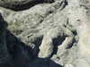 20070724154301-DSCF6.JPG