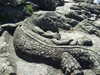 20070724154315-DSCF7.JPG