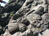 20070724154440-PICT6186.JPG