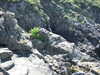 20070724154513-DSCF11.JPG