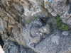 20070724154541-PICT6188.JPG