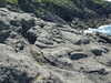 20070724154642-DSCF1179.JPG
