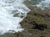 20070724154911-DSCF19.JPG