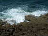 20070724155203-DSCF29.JPG