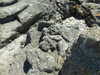 20070724155417-DSCF37.JPG