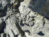 20070724155422-DSCF1198.JPG