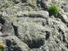 20070724155525-DSCF41.JPG