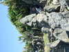 20070724155603-DSCF43.JPG