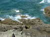 20070724155628-DSCF1204.JPG