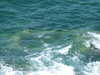 20070724155700-DSCF46.JPG