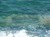 20070724155704-DSCF1206.JPG