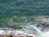 20070724155807-PICT6198.JPG