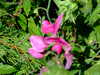 20070724160005-DSCF1208.JPG