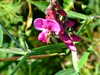20070724160038-DSCF1211.JPG
