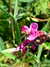 20070724160038-DSCF53.JPG