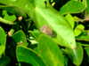 20070724160112-DSCF1212.JPG