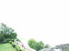 20070725125112-DSCF1272.JPG