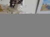 20070804092227-DSCF179.JPG
