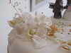 20070804092238-DSCF181.JPG