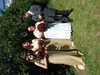 20070804135156-DSCF187.JPG