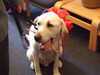 20070804143431-DSCF203.JPG