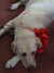 20070804145835-DSCF229.JPG