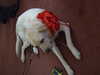 20070804145842-0207.JPG