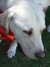 20070804152726-DSCF261.JPG