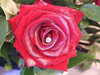 20070804174737-DSCF281.JPG