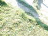 DSCF1444.JPG