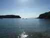 DSCF1447.JPG