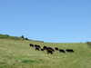DSCF1461.JPG