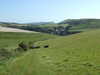 DSCF1465.JPG