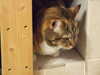 DSCF1482.JPG