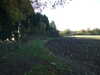 DSCF1640.JPG