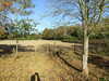 DSCF1644.JPG